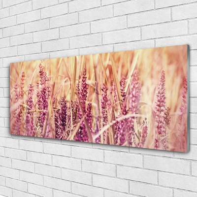 Plexisklo-obraz Pšenice Rostlina Příroda