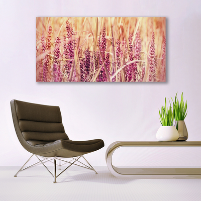 Plexisklo-obraz Pšenice Rostlina Příroda