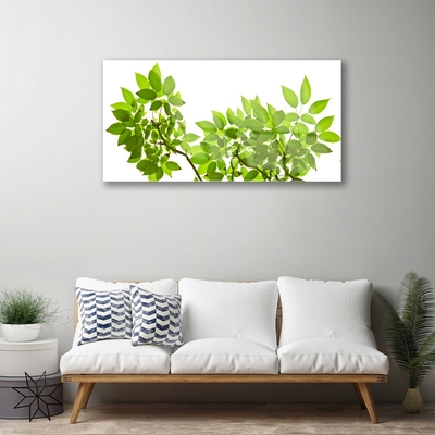 Plexisklo-obraz Větev Listy Rostlina Příroda