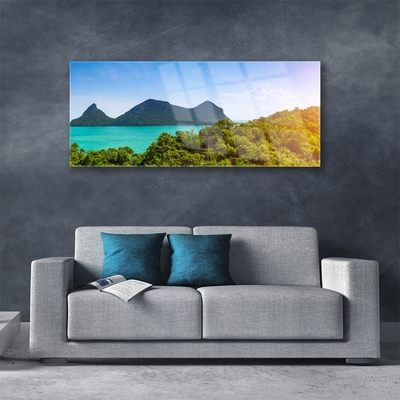 Plexisklo-obraz Hory Moře Stromy Krajina