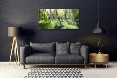 Plexisklo-obraz Les Tráva Rostlina Příroda
