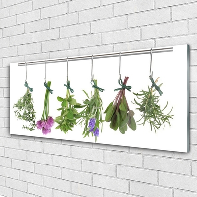 Plexisklo-obraz Plátky Rostlina Kuchyně