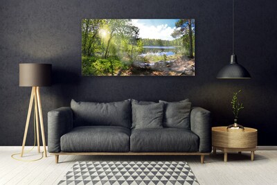 Plexisklo-obraz Les Stromy Jezero Příroda