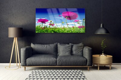 Plexisklo-obraz Louka Květiny Nebe Příroda