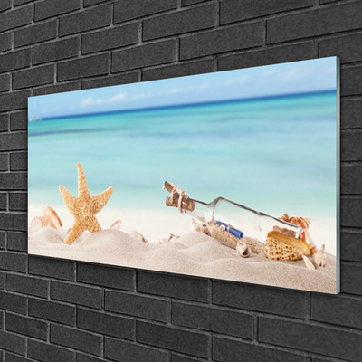 Plexisklo-obraz Hvězdice Mušle Pláž