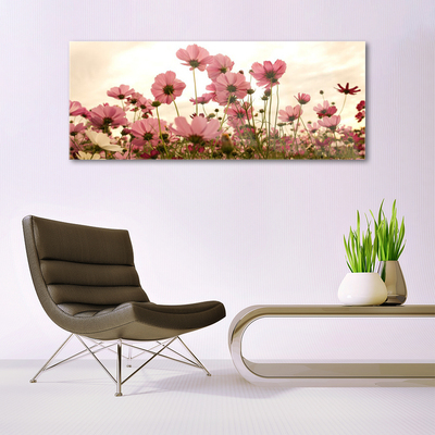 Plexisklo-obraz Polní Květiny Louka Příroda