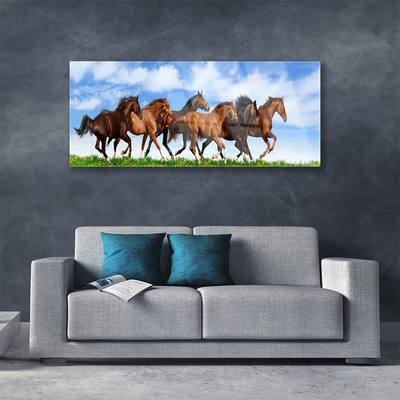 akrylový obraz Cválající Koně na Pastvině