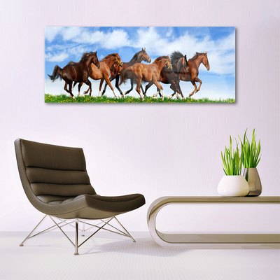 akrylový obraz Cválající Koně na Pastvině