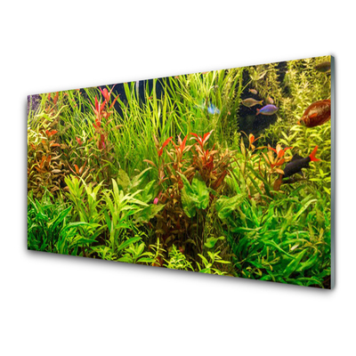 akrylový obraz Akvárium Rybičky Rostliny