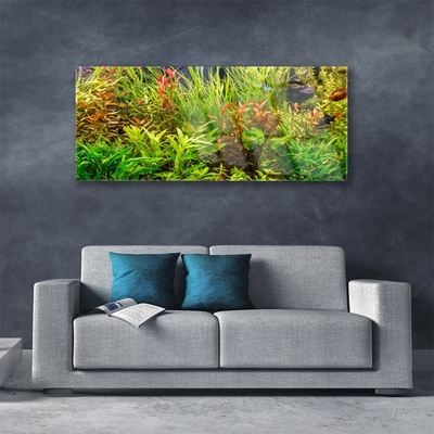 akrylový obraz Akvárium Rybičky Rostliny