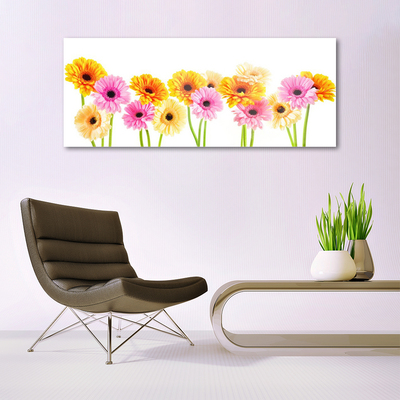 akrylový obraz Barevné Květiny Gerbery