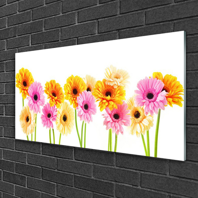 akrylový obraz Barevné Květiny Gerbery