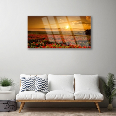 akrylový obraz Pole Máky Západ Slunce Louka