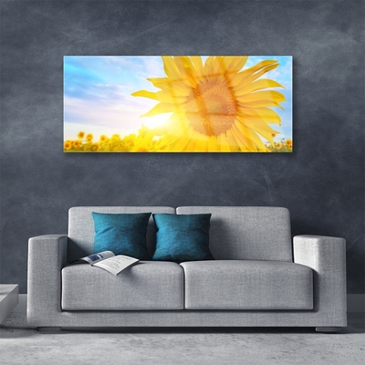 akrylový obraz Slunečnice Květ Slunce