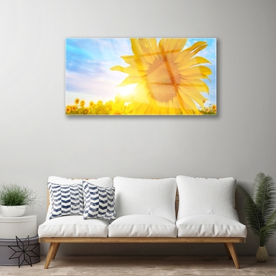 akrylový obraz Slunečnice Květ Slunce