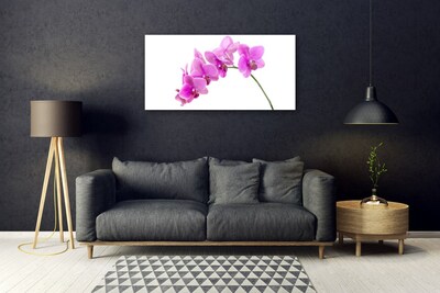 Plexisklo-obraz Vstavač Květ Orchidej
