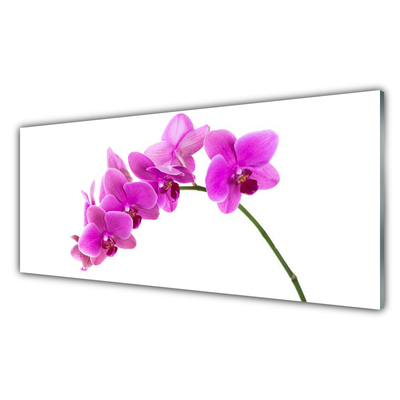 Plexisklo-obraz Vstavač Květ Orchidej