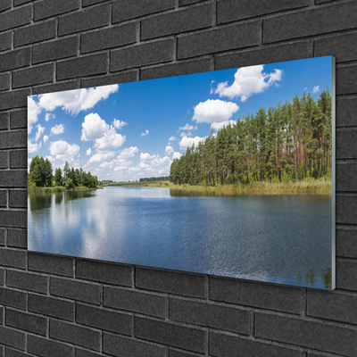 Plexisklo-obraz Jezero Les Krajina