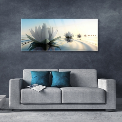 Plexisklo-obraz Vodní Lilie Květiny Rybník