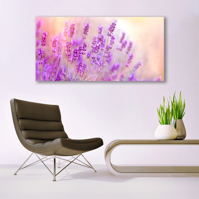 Plexisklo-obraz Levandulové Pole Slunce Květiny