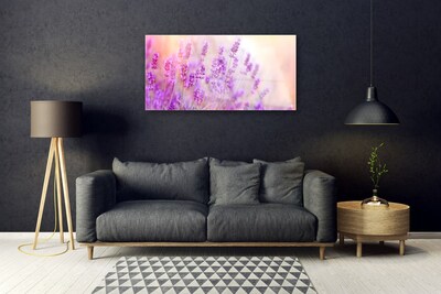 Plexisklo-obraz Levandulové Pole Slunce Květiny