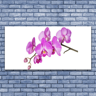 Plexisklo-obraz Vstavač Orchidej Květiny