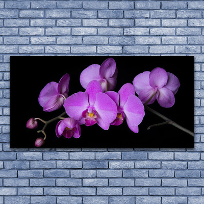Plexisklo-obraz Vstavač Orchidej Květiny