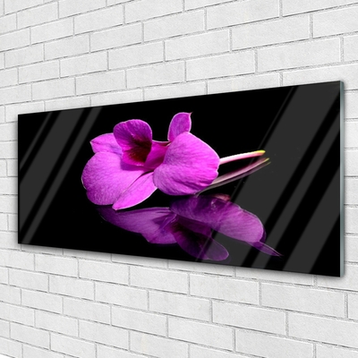 Plexisklo-obraz Květiny Mtvá Příroda