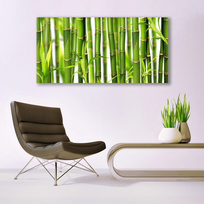 Plexisklo-obraz Bambusové Výhonky Listy Bambus