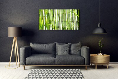 Plexisklo-obraz Bambusové Výhonky Listy Bambus