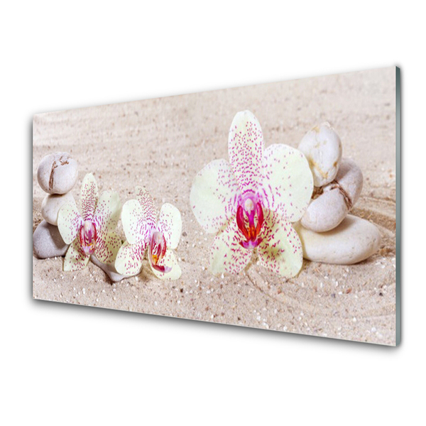 Plexisklo-obraz Orchidej Kameny Zen Písek