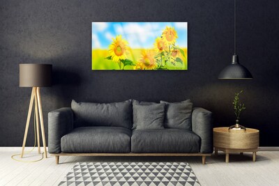 Plexisklo-obraz Slunečnice Květiny Příroda