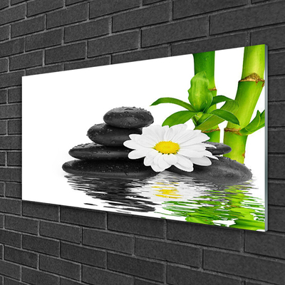 Plexisklo-obraz Kameny Zen Bambus Výhonky