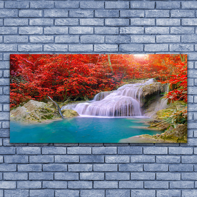 Plexisklo-obraz Podzimní Vodopád Les