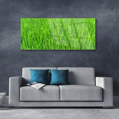 Plexisklo-obraz Zelená Tráva Příroda Trávník