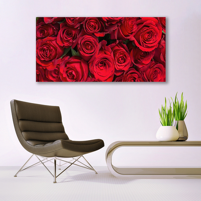 Plexisklo-obraz Červené Růže Květiny Příroda
