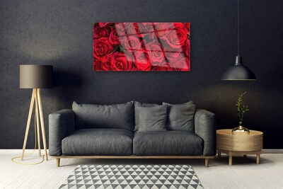 Plexisklo-obraz Červené Růže Květiny Příroda