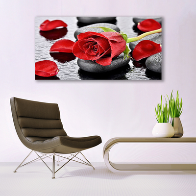 Plexisklo-obraz Růže Květ Kameny Zen