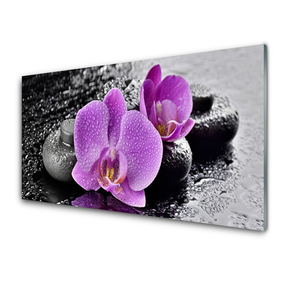 Plexisklo-obraz Orchidej Květiny Kameny Zen
