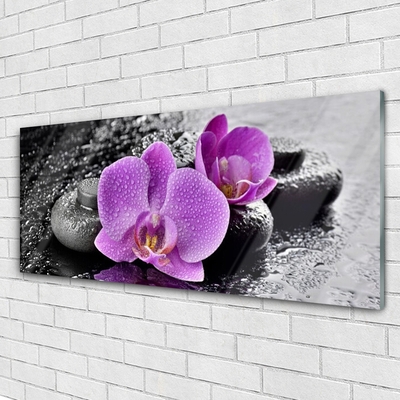 Plexisklo-obraz Orchidej Květiny Kameny Zen