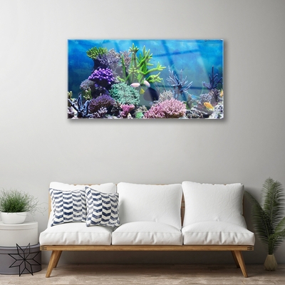 Plexisklo-obraz Akvárium Rybičky Pod Vodou