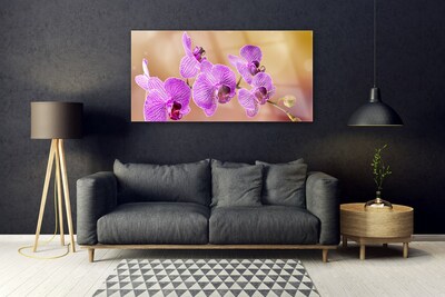 Plexisklo-obraz Orchidej Výhonky Květiny Příroda