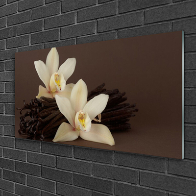 Plexisklo-obraz Květy Vanilky do Kuchyně