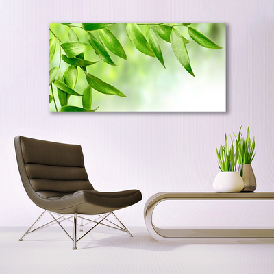 Plexisklo-obraz Zelené Listy Příroda