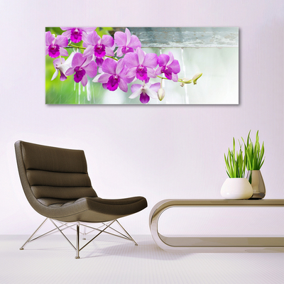 Plexisklo-obraz Orchideje Kapky Příroda