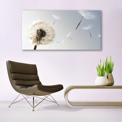 Plexisklo-obraz Pampeliška Květiny Příroda