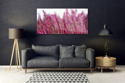 Plexisklo-obraz Květiny Louka Příroda