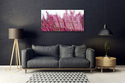 Plexisklo-obraz Květiny Louka Příroda