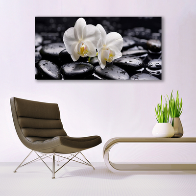 Plexisklo-obraz Kameny Zen Bílá Orchidej
