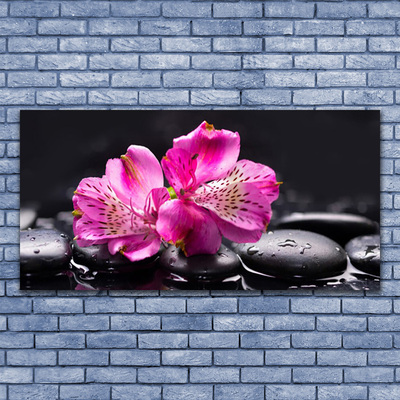 Plexisklo-obraz Květiny Kameny Zen Lázně